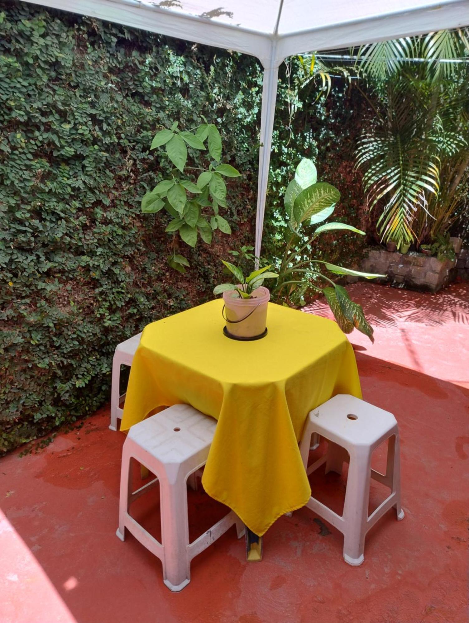 Perto Do Aeroporto De Salvador - Dona Pitanga Hostel เลาโร เด เฟรย์ตัส ภายนอก รูปภาพ